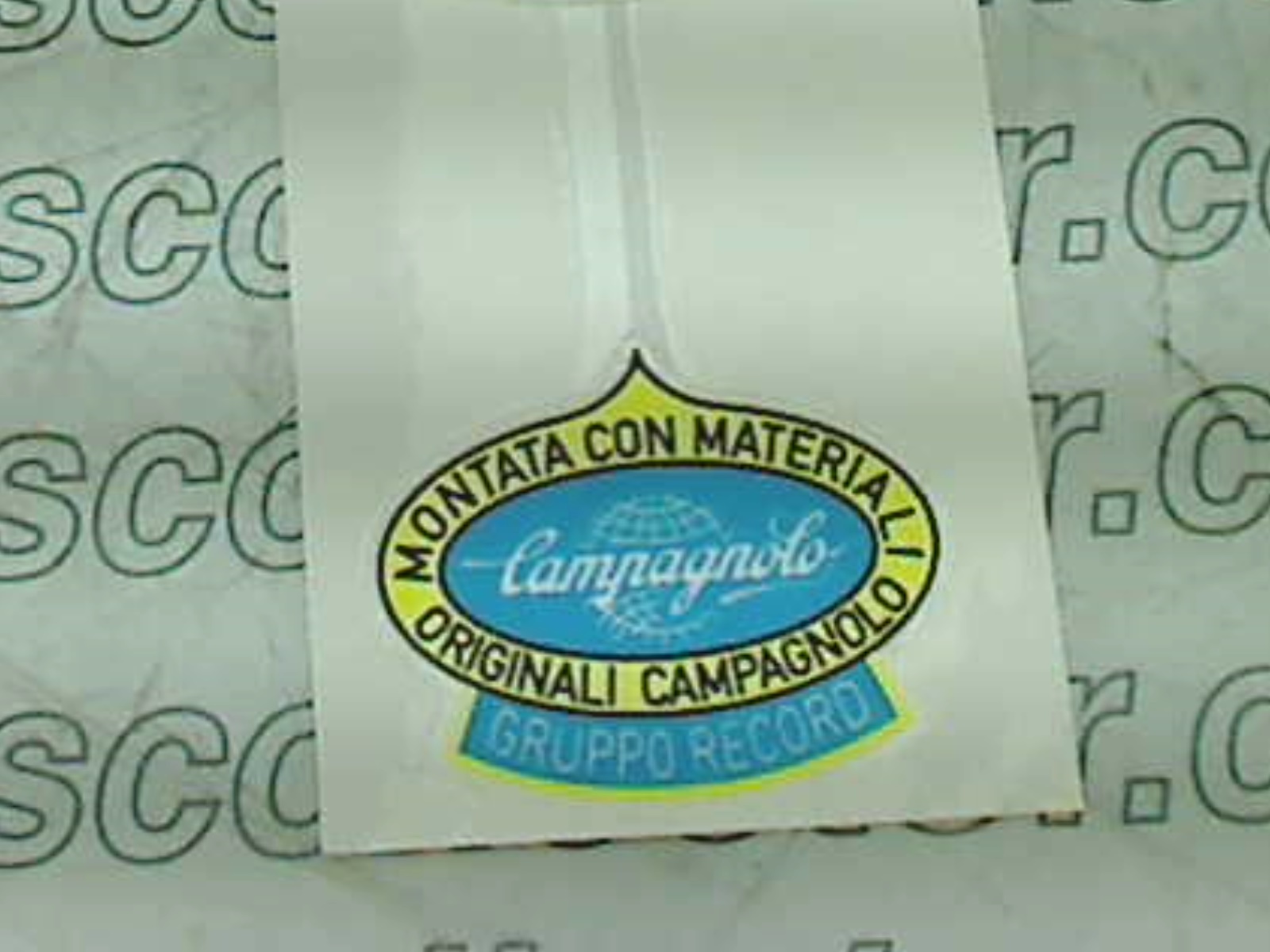 CAMPAGNOLO STICKER